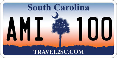 SC license plate AMI100