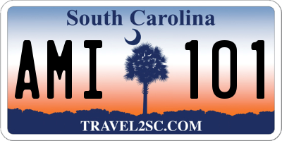 SC license plate AMI101