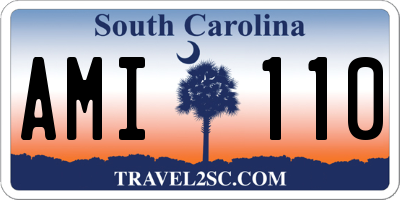 SC license plate AMI110
