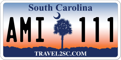 SC license plate AMI111
