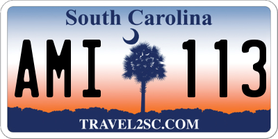 SC license plate AMI113