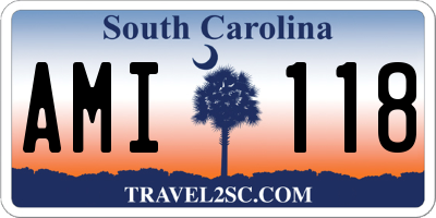 SC license plate AMI118