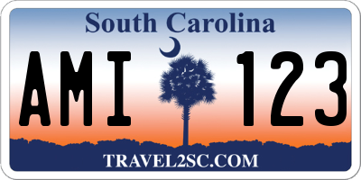 SC license plate AMI123