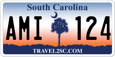 SC license plate AMI124