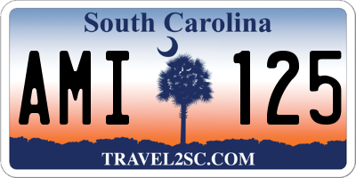 SC license plate AMI125