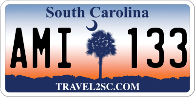 SC license plate AMI133