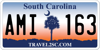 SC license plate AMI163