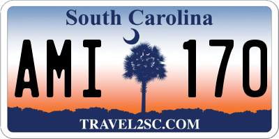 SC license plate AMI170