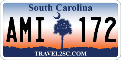 SC license plate AMI172