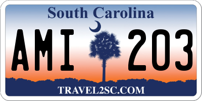 SC license plate AMI203