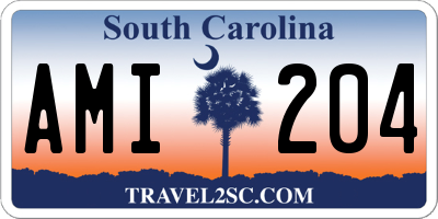 SC license plate AMI204
