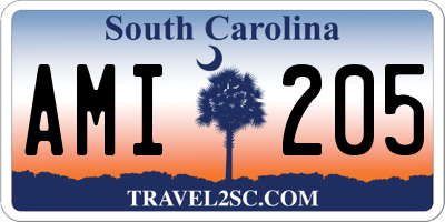 SC license plate AMI205