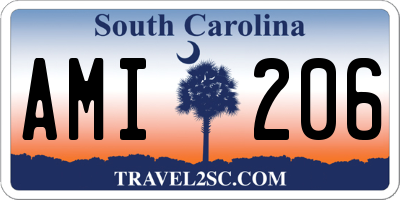 SC license plate AMI206