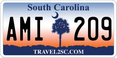 SC license plate AMI209