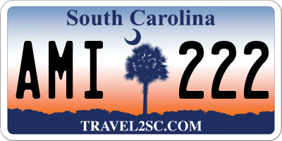 SC license plate AMI222