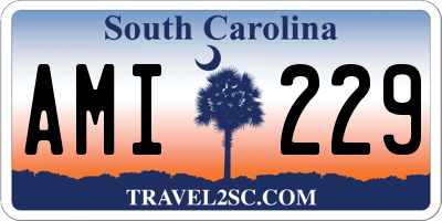SC license plate AMI229