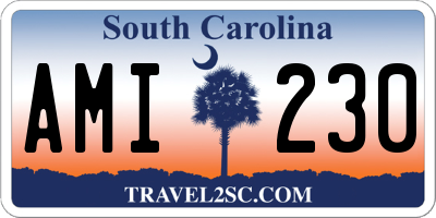 SC license plate AMI230