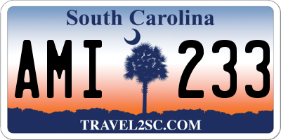 SC license plate AMI233