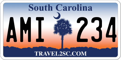 SC license plate AMI234