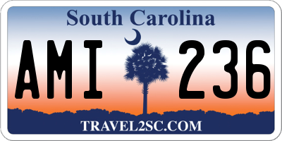 SC license plate AMI236