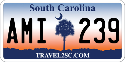 SC license plate AMI239