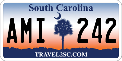 SC license plate AMI242