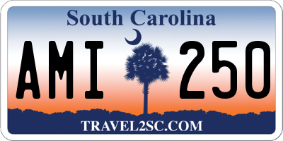 SC license plate AMI250