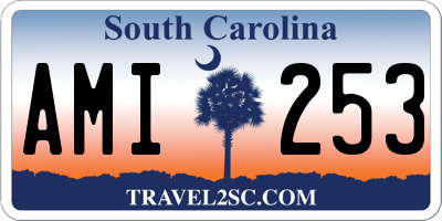 SC license plate AMI253