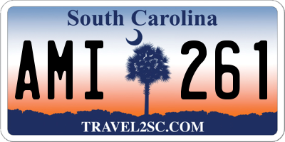 SC license plate AMI261