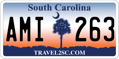 SC license plate AMI263