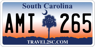 SC license plate AMI265