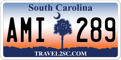 SC license plate AMI289