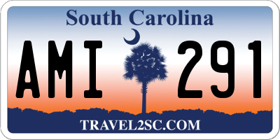 SC license plate AMI291