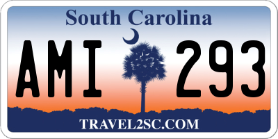 SC license plate AMI293