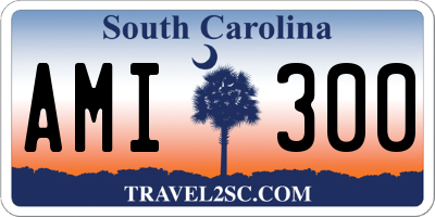 SC license plate AMI300
