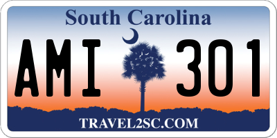 SC license plate AMI301