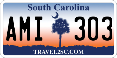 SC license plate AMI303