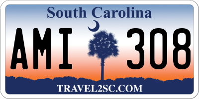 SC license plate AMI308