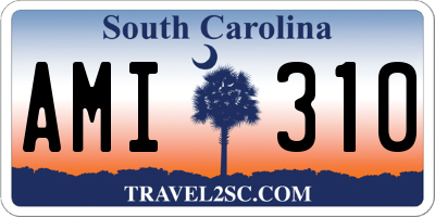 SC license plate AMI310