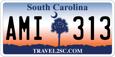 SC license plate AMI313
