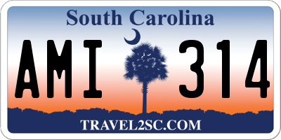 SC license plate AMI314