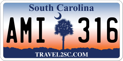 SC license plate AMI316