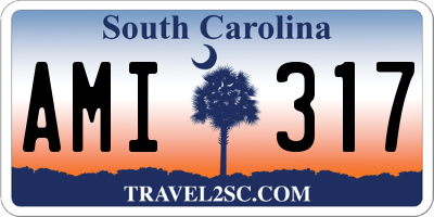 SC license plate AMI317