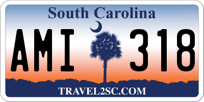SC license plate AMI318