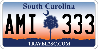 SC license plate AMI333
