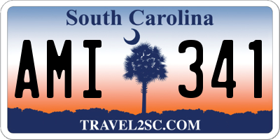 SC license plate AMI341