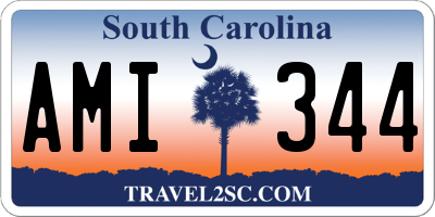 SC license plate AMI344