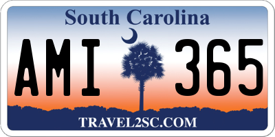 SC license plate AMI365