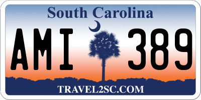 SC license plate AMI389