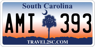 SC license plate AMI393